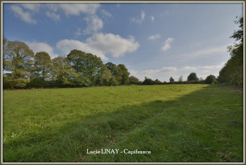 Maison - 115 m² - 4 pièces