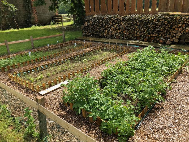 Maison ancienne - 450 m² - 12 pièces