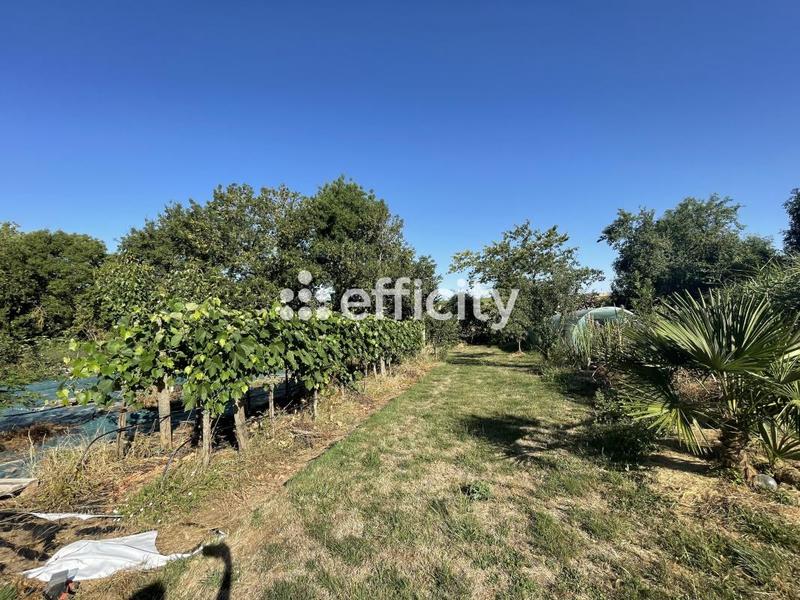 Maison - 38 m² - 2 pièces