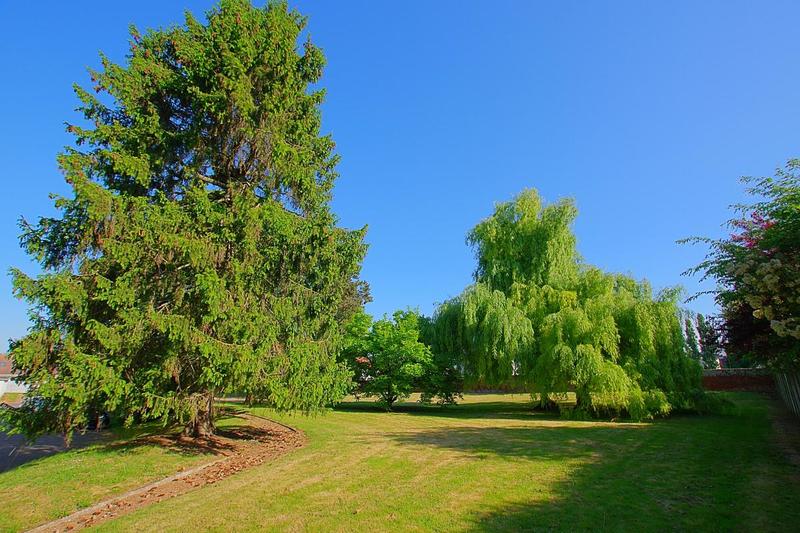 Maison - 32 m² - 1 pièce