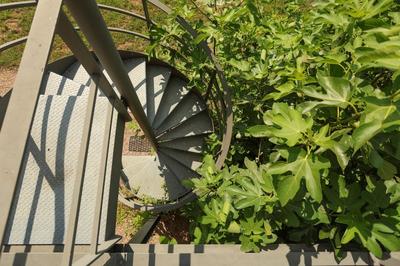 Villa - 225 m² - 7 pièces