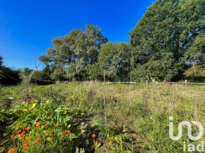 Maison - 342 m² - 10 pièces