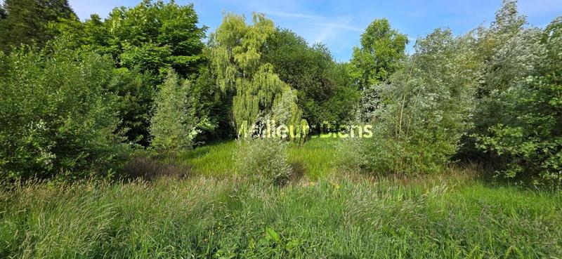 Maison de campagne - 275 m² - 10 pièces