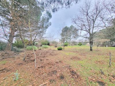 Terrain constructible - 3 099 m²