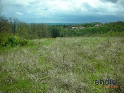 Terrain - 21 946 m²