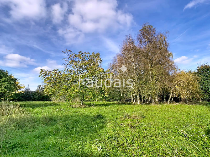 Maison de village - 120 m² - 6 pièces