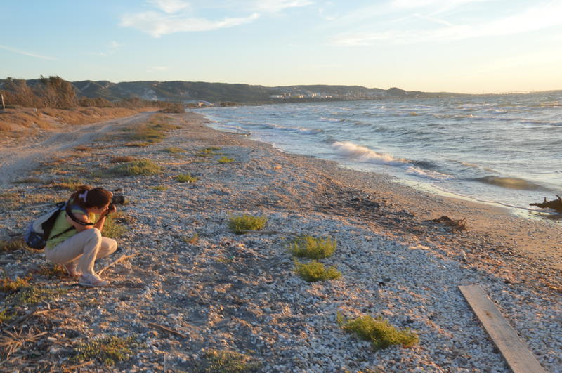 Randonnée commentée  : Lido du Jaï, nature sauvage entre deux étangs