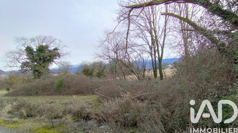 Terrain agricole - 1 423 m²