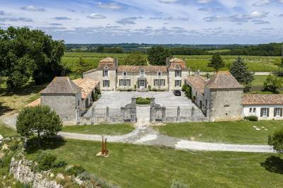 Château - 550 m² - 15 pièces