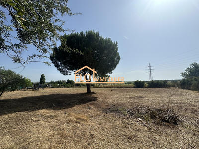 Terrain agricole - 5 550 m²