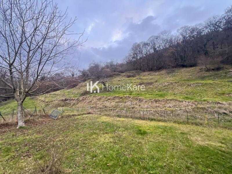 Propriété - 110 m² - 5 pièces