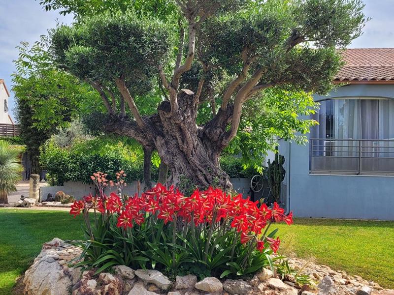 Maison - 210 m² - 10 pièces