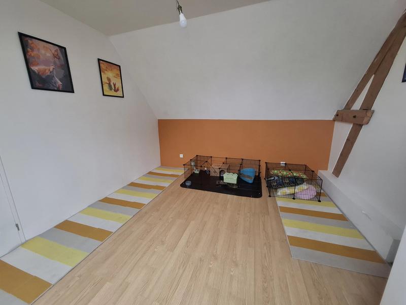 Maison - 142 m² - 6 pièces