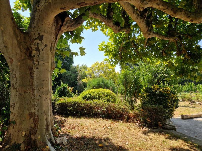 Mas - 290 m² - 9 pièces