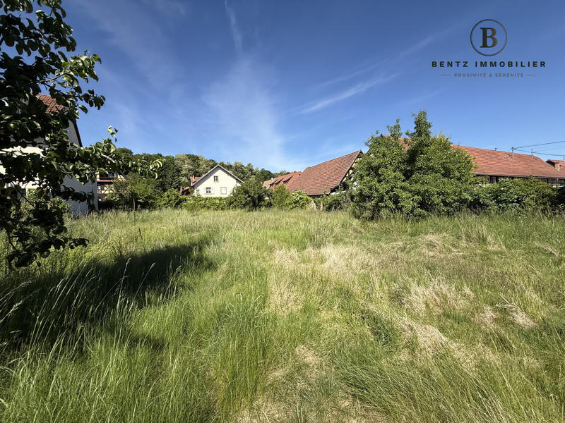 Ferme - 247 m² - 8 pièces