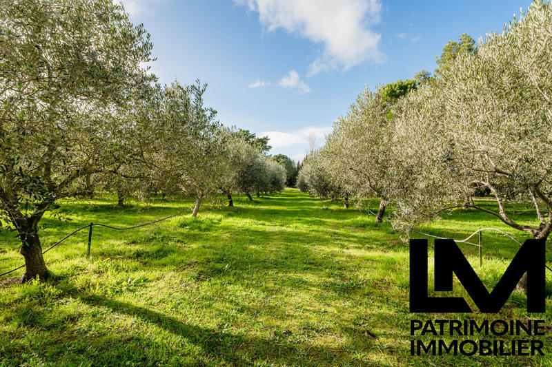 Villa - 335 m² - 7 pièces