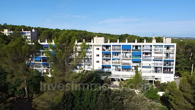 Appartement - 30 m² - 1 pièce