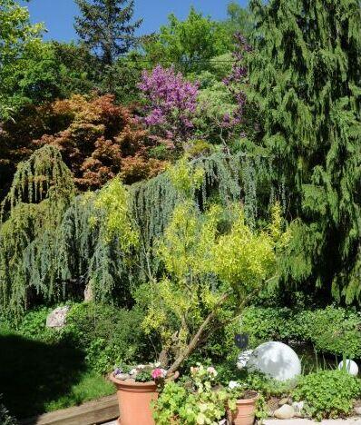 Rendez-vous aux jardins : le Paradis de la Nature