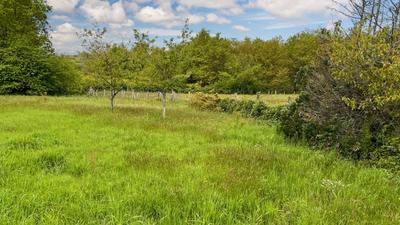 Terrain constructible - 1 446 m²