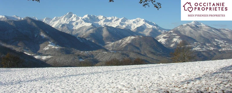 Propriété - 280 m² - 10 pièces