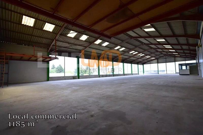 Bureau - 1 185 m² - 5 pièces