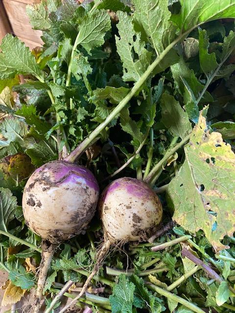 Ferme de Bretonvilliers