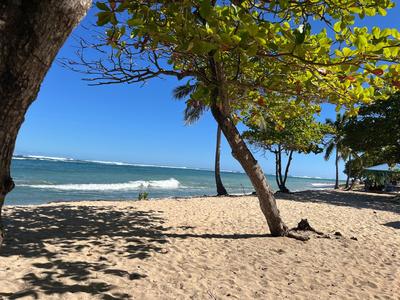 Appartement - 28 m² - 1 pièce