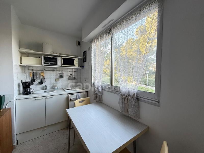 Studio - 19 m² - 1 pièce