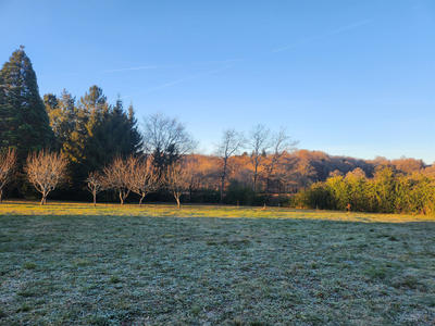 Terrain - 1 763 m²