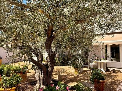 Maison - 156 m² - 5 pièces