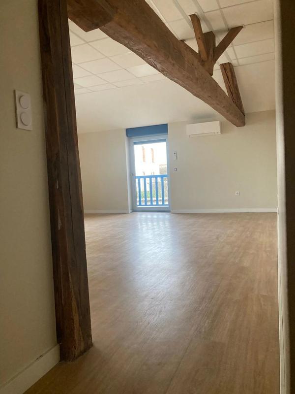 Appartement - 53 m² - 1 pièce