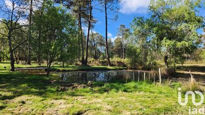 Maison - 175 m² - 7 pièces