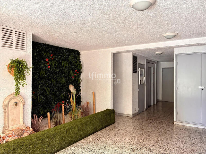 Appartement - 24 m² - 1 pièce