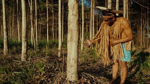 Ciné-débat > Planter à tout prix