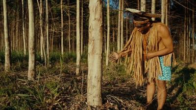 Ciné-débat > Planter à tout prix