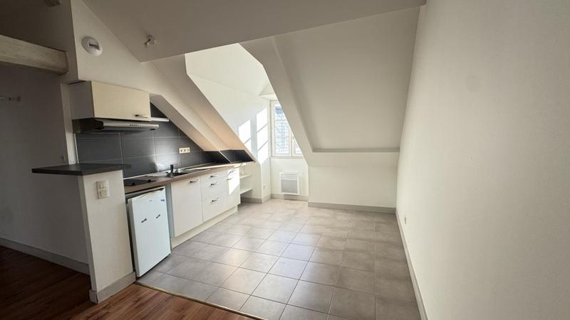 Appartement ancien - 46 m² - 1 pièce
