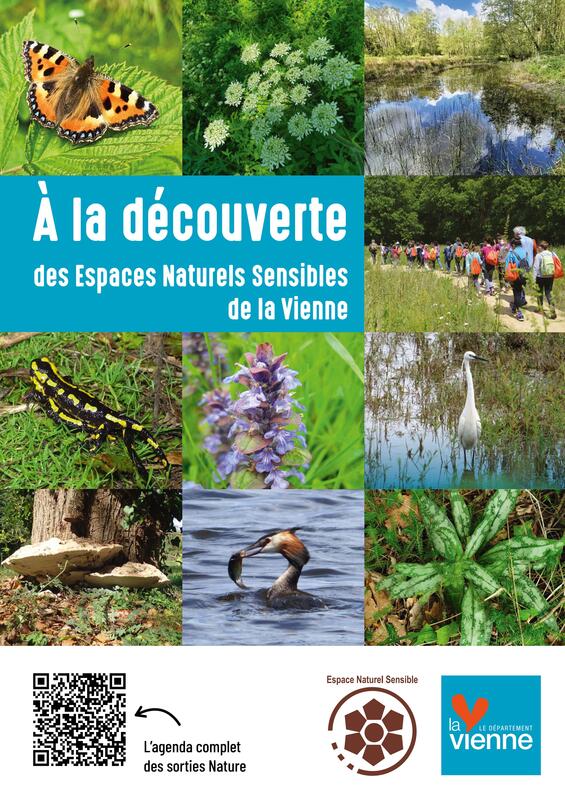 A la découverte des Espaces Naturels Sensibles de la Vienne - les oiseaux de la forêt de Scévolles