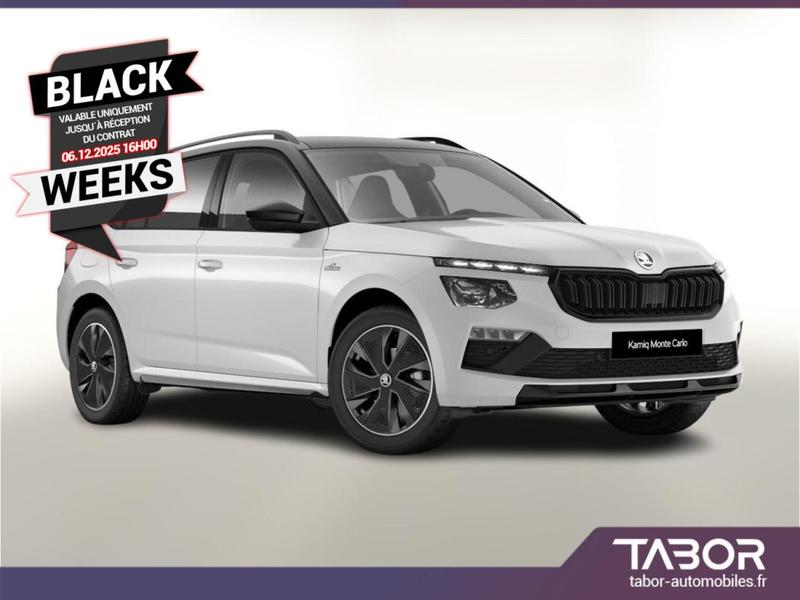 Skoda Kamiq Dsg MonteC Pano Matrix Cam Kessy