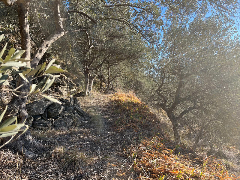 Maison - 141 m² - 6 pièces