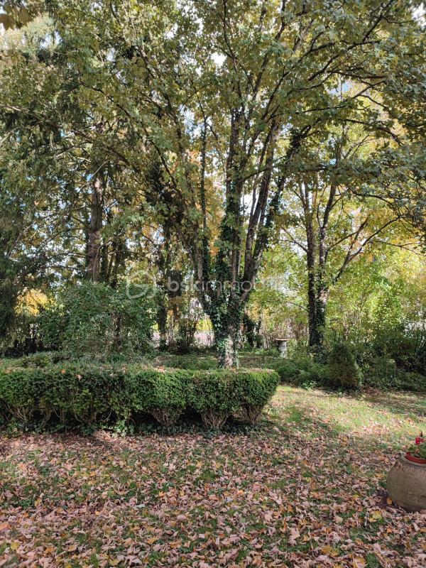 Maison de maîtres - 310 m² - 12 pièces