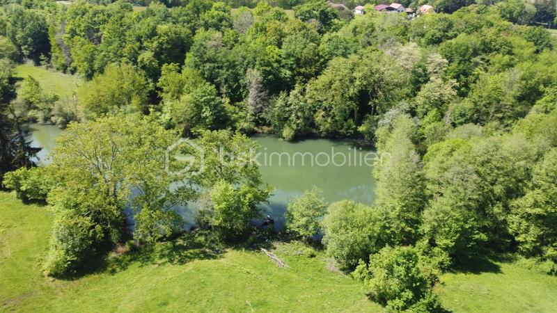 Propriété - 700 m² - 26 pièces