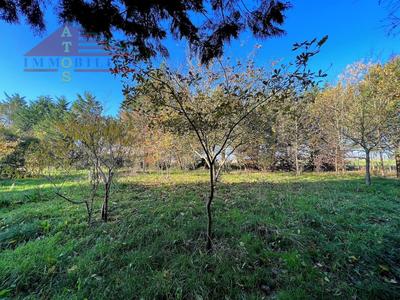 Corps de ferme - 111 m² - 5 pièces