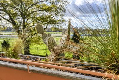 Appartement - 107 m² - 5 pièces