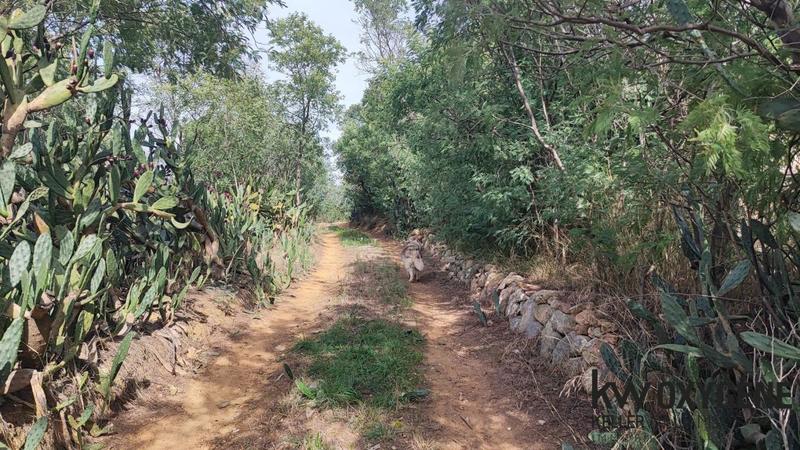 Terrain agricole - 20 959 m²