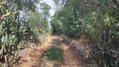 Terrain agricole - 20 959 m²