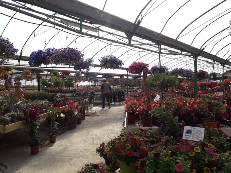 Les Serres de la Droude