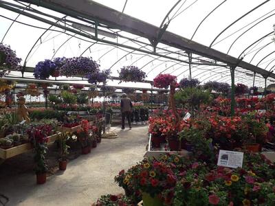 Les Serres de la Droude