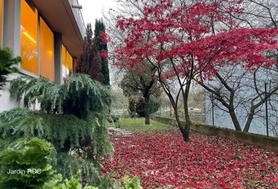 Local commercial - 1 550 m²