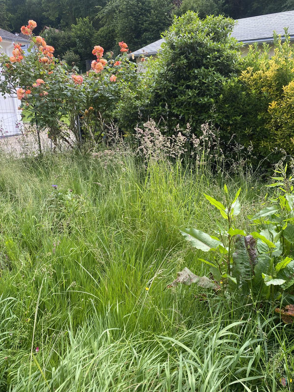 Maison - 71 m² - 4 pièces