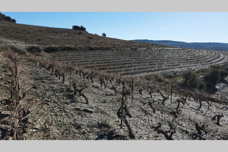 Terrain agricole - 11 020 m²